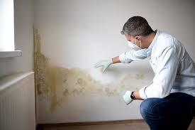 Best Mold Documentation for Insurance Claims  in La Croft, OH